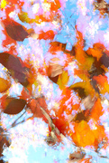 30th Nov 2024 - Nature Abstract