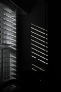 30th Nov 2024 - Shades of Shadows