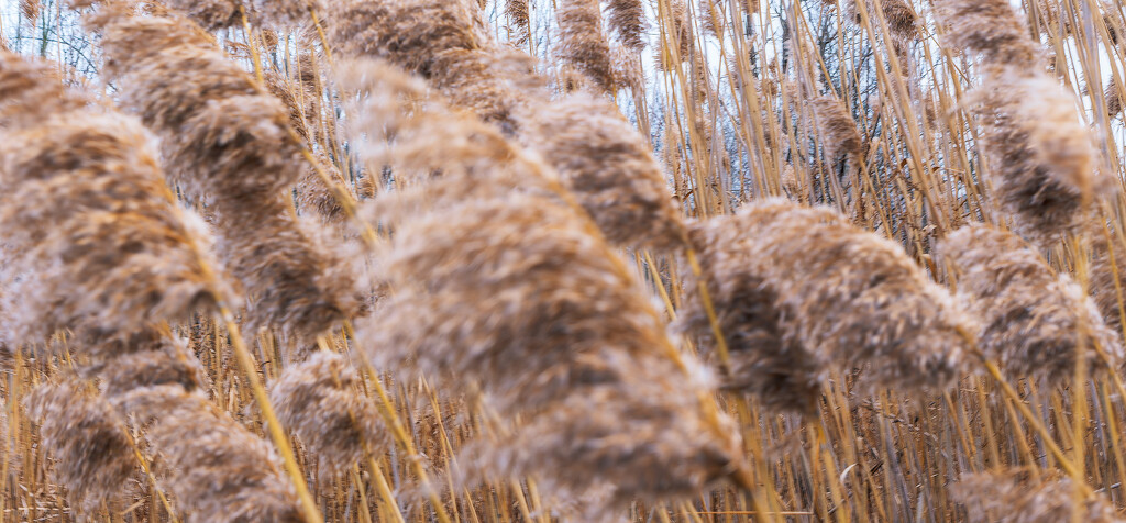 Natural Camera Movement Photography Fail by toddmarsh