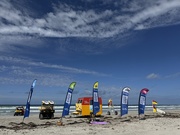 1st Dec 2024 - Nippers morning