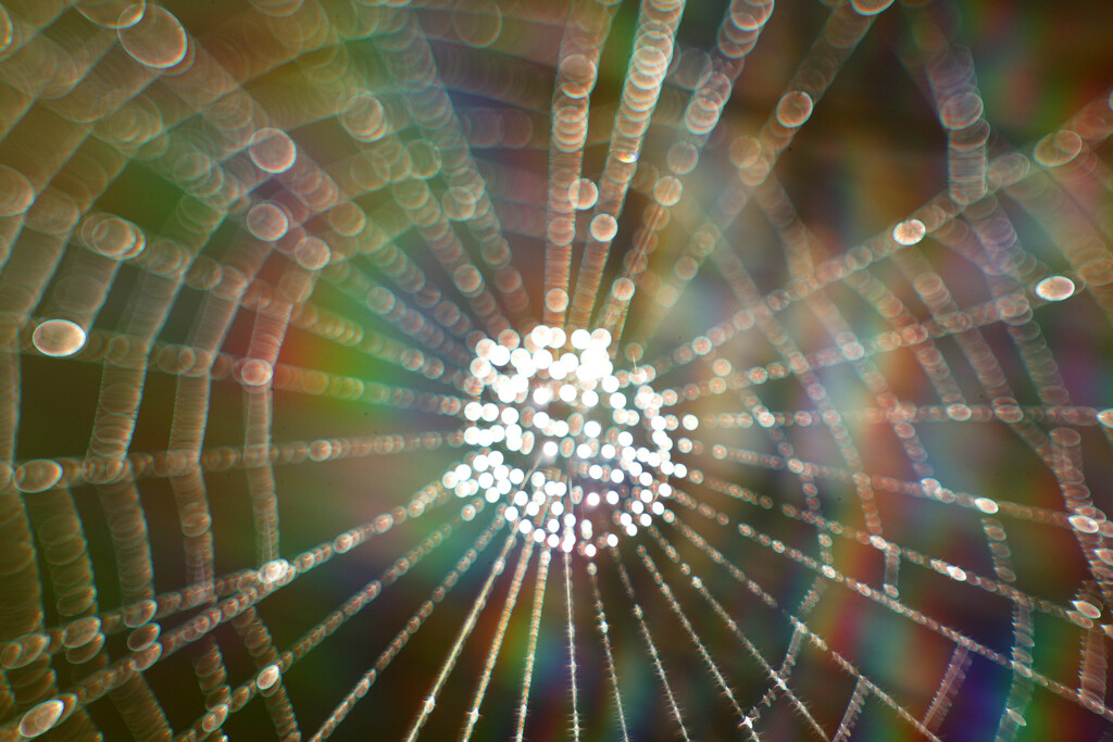 In circles by kali66