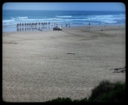 5th Dec 2024 - Camel Train in the Dunes