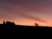 6th Dec 2024 - another doorstep shot