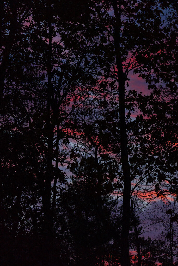 Sunrise by k9photo