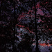 Sunrise by k9photo