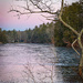 Pink sky refected in a thin layer of ice. by joansmor
