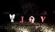 8th Dec 2024 - JOY  December words