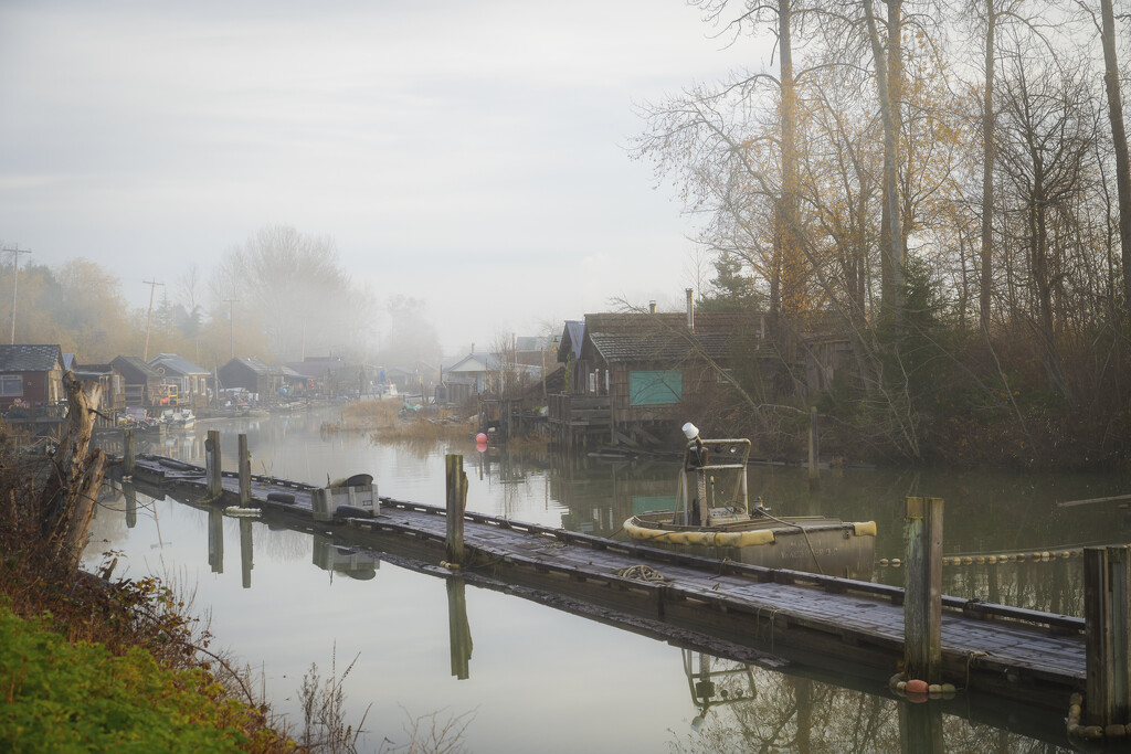 Early Morning Mist, Finn Slough by cdcook48