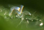 9th Dec 2024 - refracted