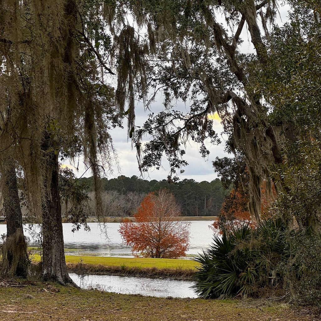 Lake View thru the Trees by k9photo