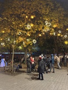 11th Dec 2024 - The hearts tree. 