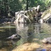 Stoney Creek
