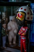 12th Dec 2024 - Captain Risky approves of Hammerfest 1974