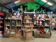 13th Dec 2024 - Christmas At The Garden Centre 