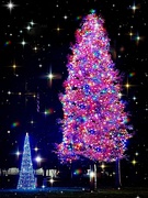 14th Dec 2024 - Light Up the Night