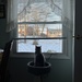 I Want Out by pej76