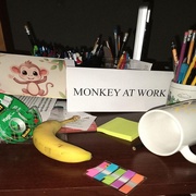 14th Dec 2024 - Monkey Office Madness