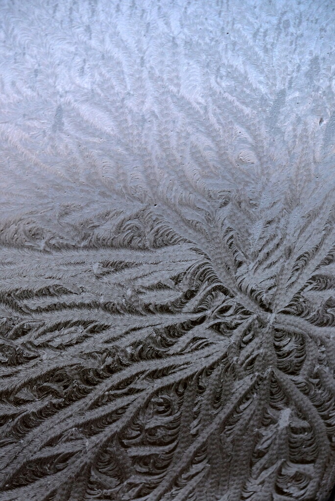 nature's artwork by minsky365