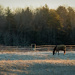 12-14-23 (1 of 1) by joansmor
