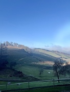 13th Dec 2024 - Afternoon in Black Forest. 