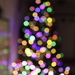Bokeh Tree by yesfantina