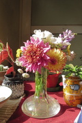 10th Dec 2024 - First bunch