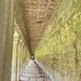 Cool Corridor by cmf