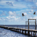 Matlacha by photohoot