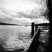 Lake Zurich  by rensala
