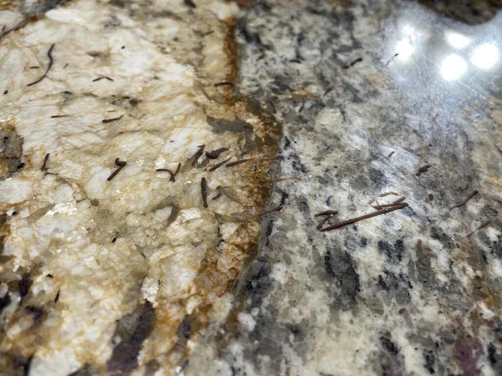 Chocolate everywhere  by homeschoolmom