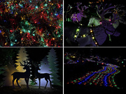 15th Dec 2024 - Weeki Wachee Holiday Decorations
