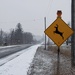 Reindeer Crossing by princessicajessica
