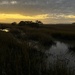 Marsh sunset by congaree