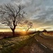 Sunrise by carole_sandford