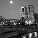 notre dame 