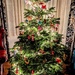 Tree  by boxplayer