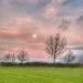 Morning Moon!  by alliw