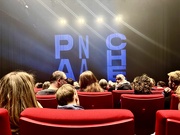 16th Dec 2024 - Panache. 