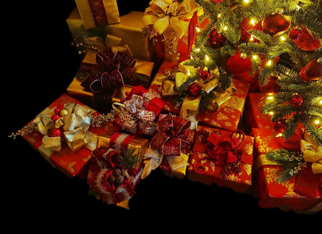 Under the Tree by olivetreeann