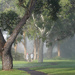 The Mist Clearing  by onewing