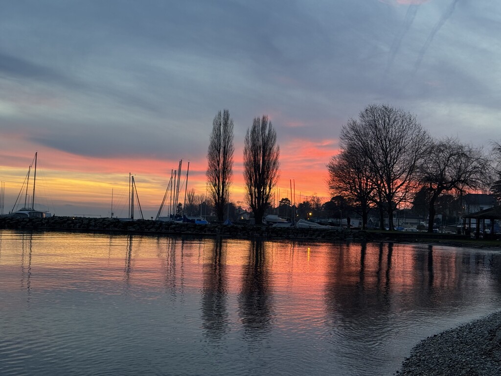 Orange sunset  by cocobella