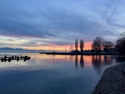 17th Dec 2024 - Lac Léman sunset. 