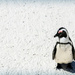 I liked all the footprints by ludwigsdiana