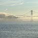 Good Morning, San Fransisco by kareenking