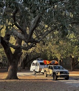 16th Dec 2024 - Under the Old Oak Tree
