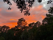 17th Dec 2024 - Reed Bingham Sunset