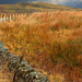 The moors north of the A66...  by neil_ge