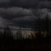 I guess there's more rain in the forecast by randystreat
