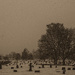 The Dead by darchibald