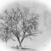 Winter's Cleansing  by digitalrn